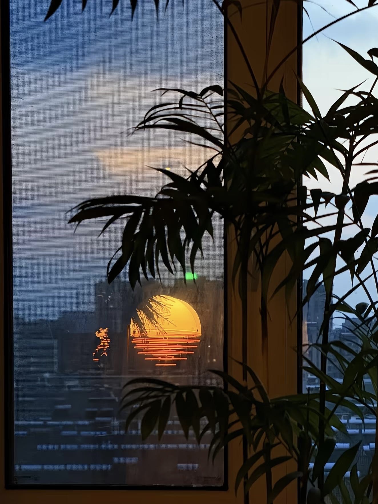 Sunset pendant light glowing by a window