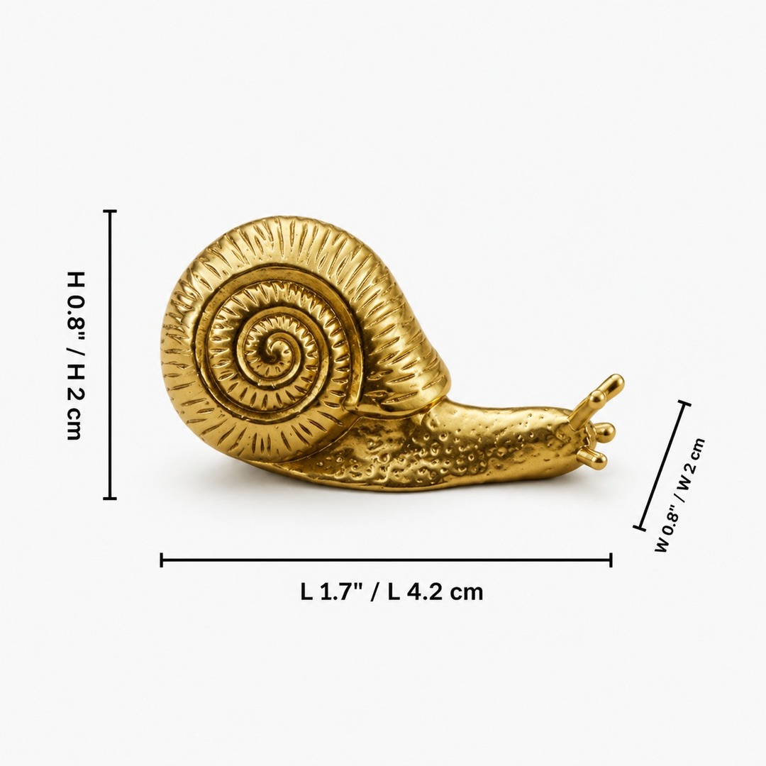 Small Totem brass snail cabinet knob dimension diagram