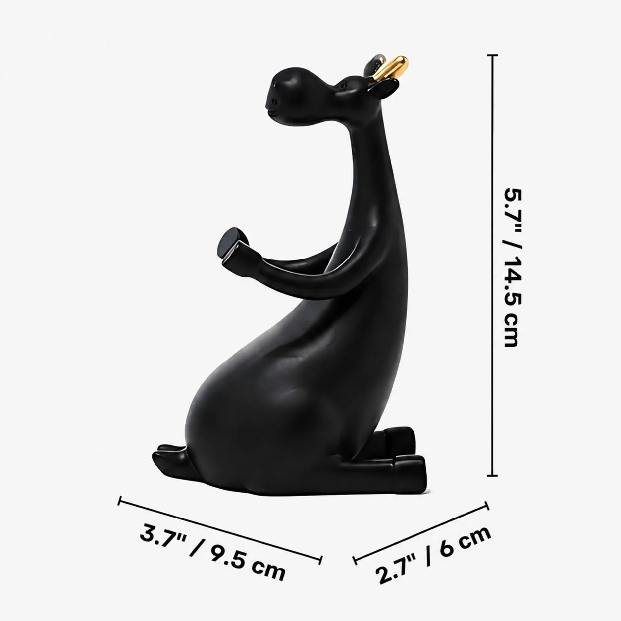 Forma D size diagram with dimensions in inches and centimeters
