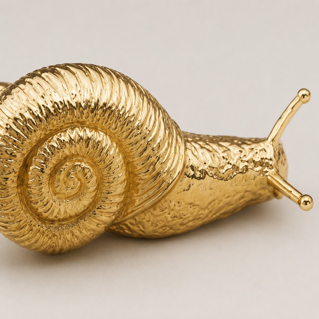 Close view of the Totem brass snail cabinet knob shell and body