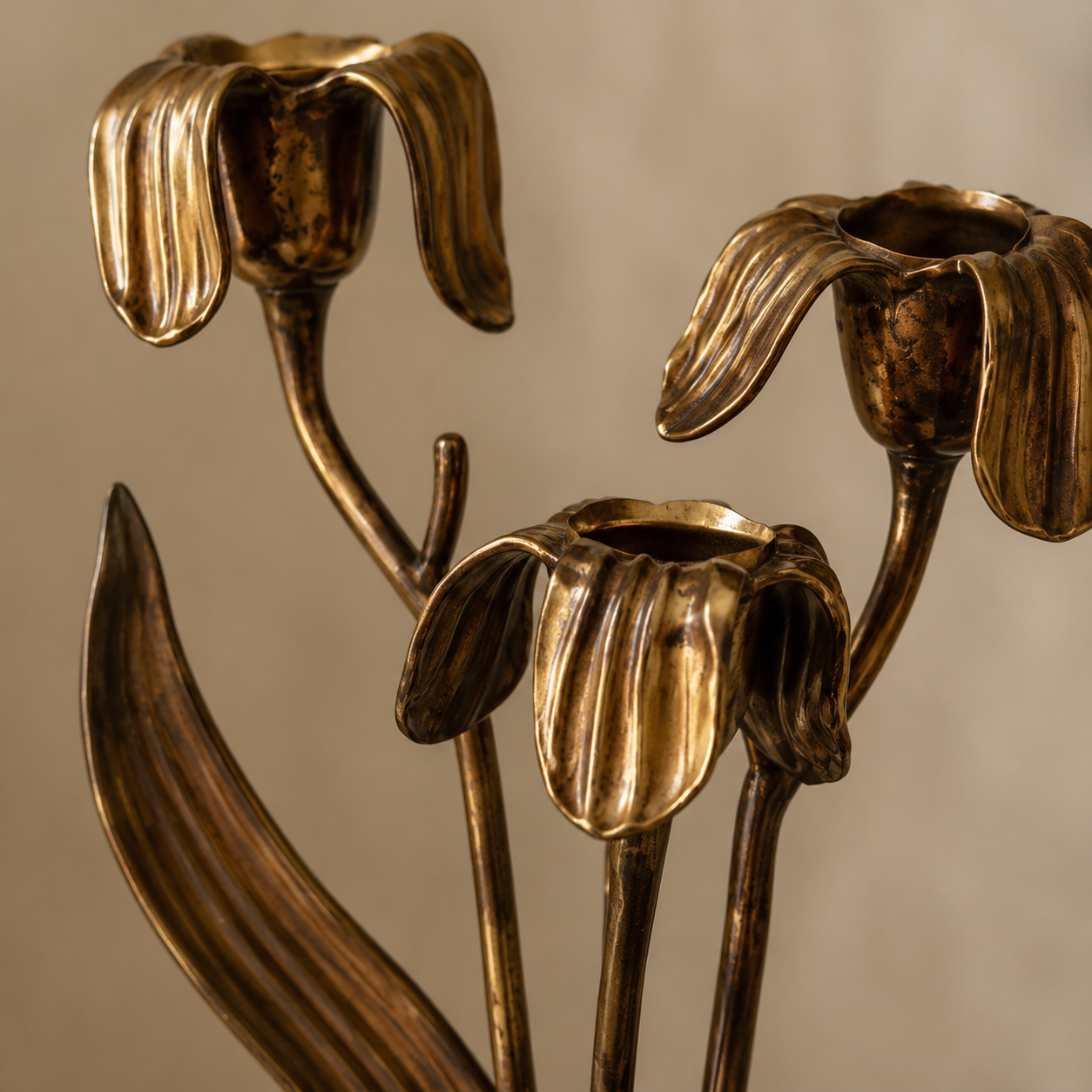 Antique copper patina and ribbed iris petal texture detail