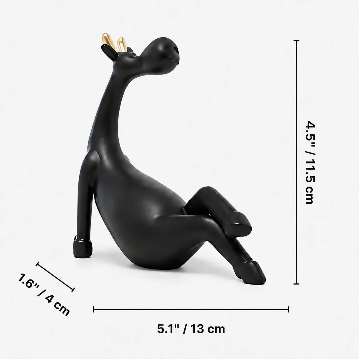 Forma B size diagram with dimensions in inches and centimeters