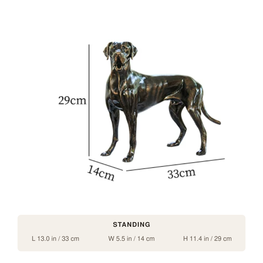 Floxo Standing dimensions in inches and centimeters