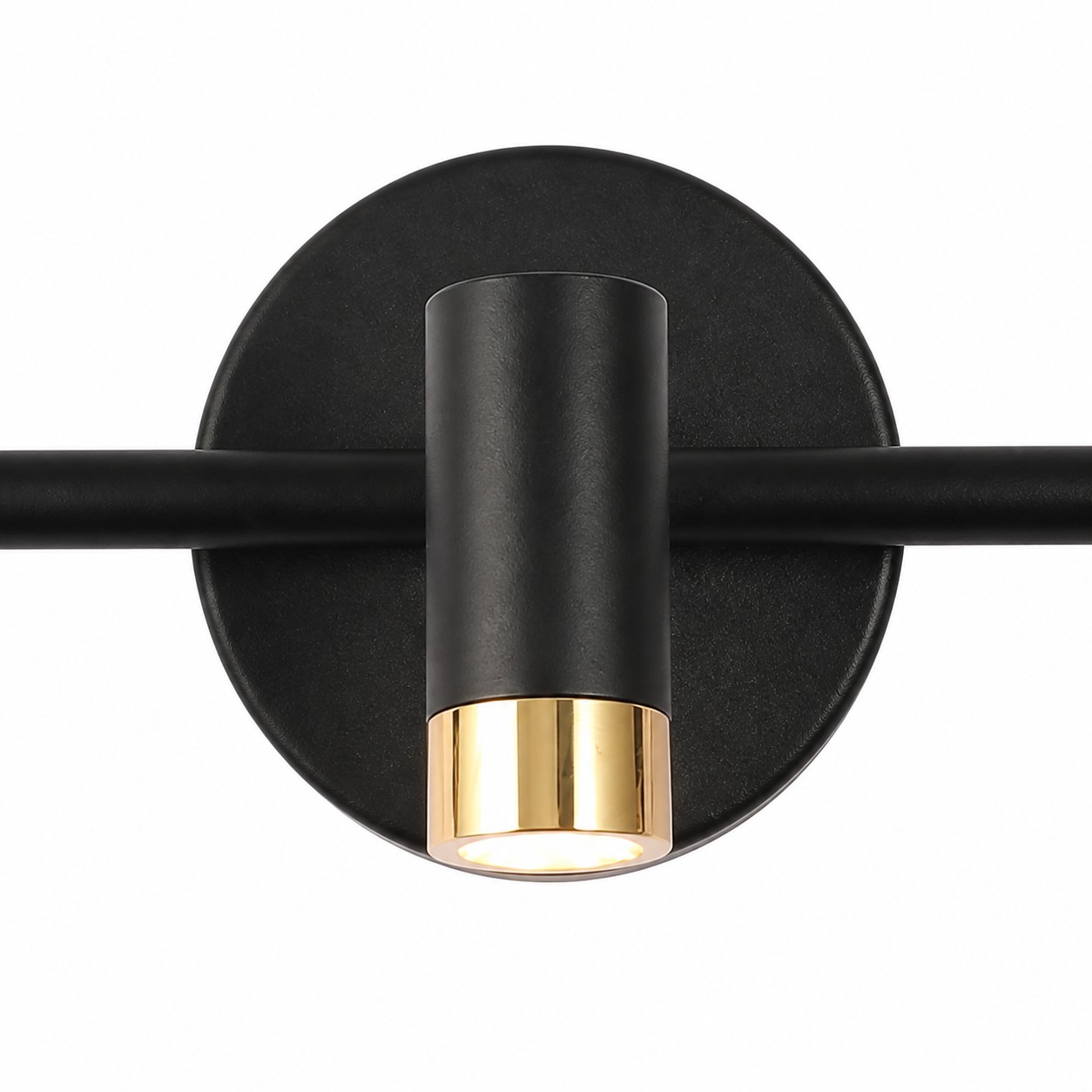 Arvico round backplate and downlight head close-up