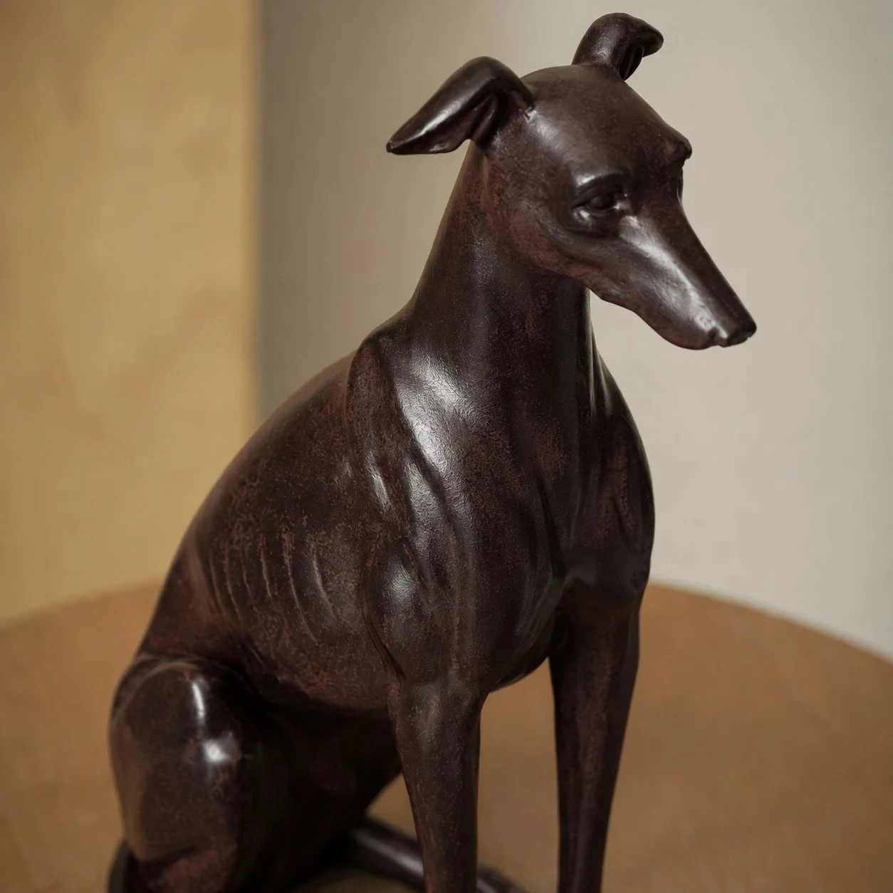 Greyhound detail sitting head