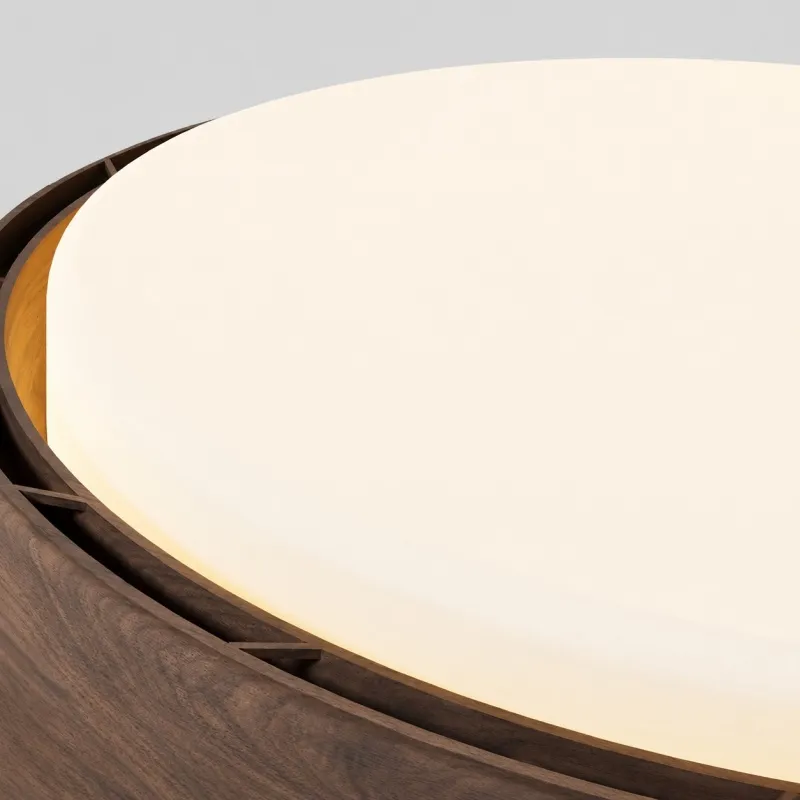 Round LED ceiling light 12